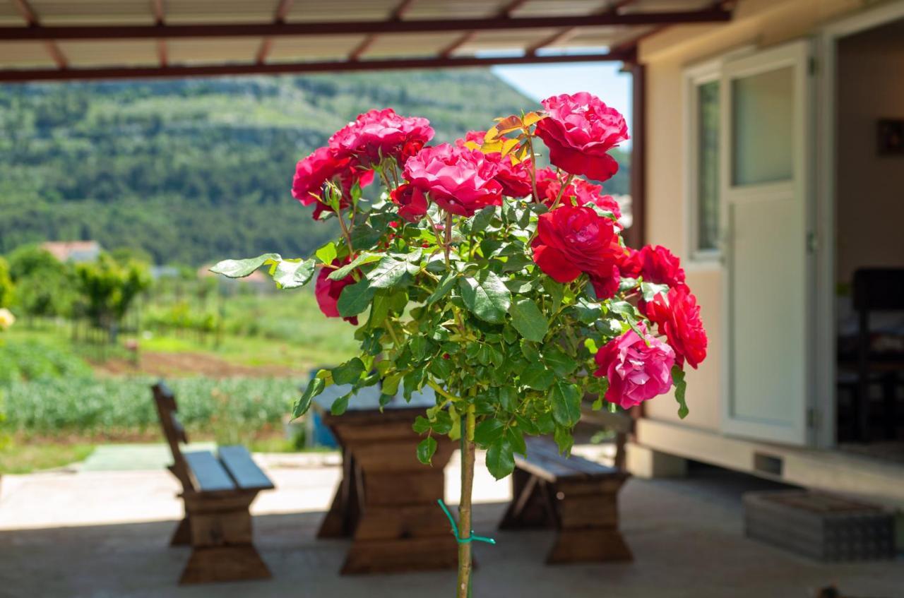 Villa Smjestaj Dada Trebinje Esterno foto