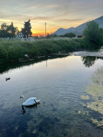Villa Smjestaj Dada Trebinje Esterno foto